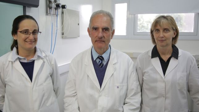 expertos del conicet ilustraron una prestigiosa revista de ciencia