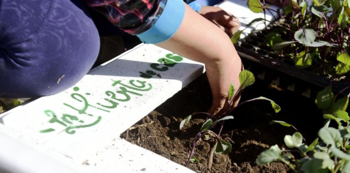 1598123882758.jpeg?x=3&y=108&width=1275&height=637&rotate=0&scaleX=1&scaleY=1&ow=1280&oh=854&&cw=1920&ch=950