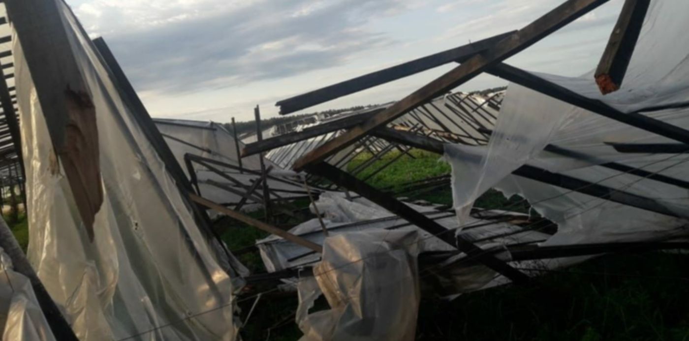 1537741069167.jpeg?rotate=0&width=993&height=497&scaleX=1&scaleY=1&ow=1032&oh=774&x=10&y=226&&cw=1920&ch=950