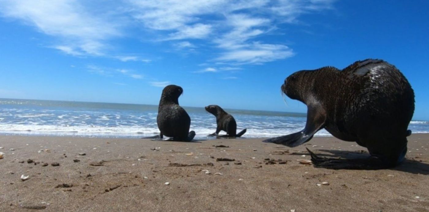 1602277547207.jpg?x=3&y=16&width=1137&height=569&rotate=0&scaleX=1&scaleY=1&ow=1140&oh=640&&cw=1920&ch=950