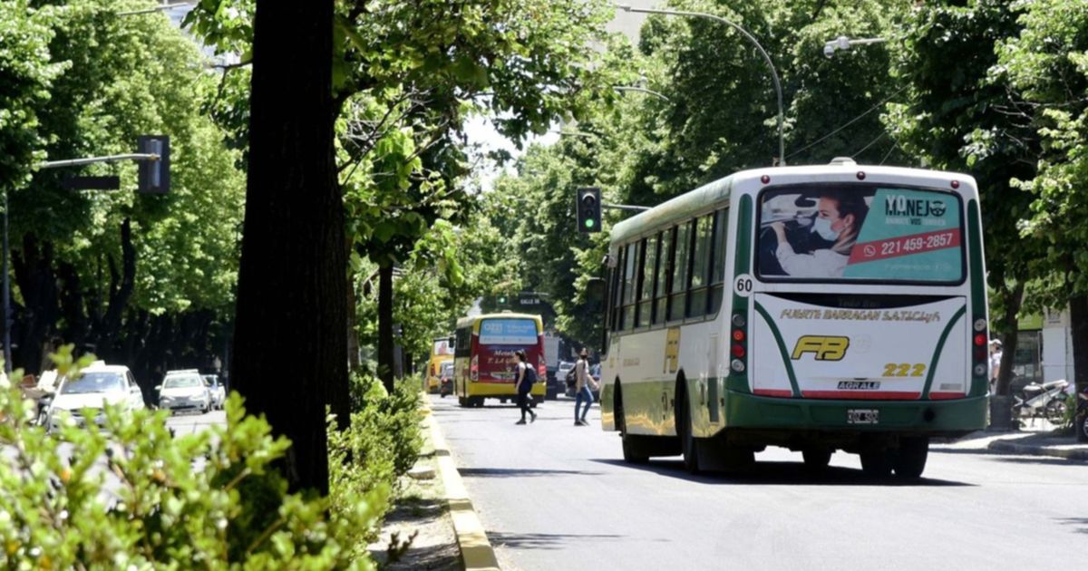 Reducen la frecuencia de micros en La Plata y advierten por demoras en ...