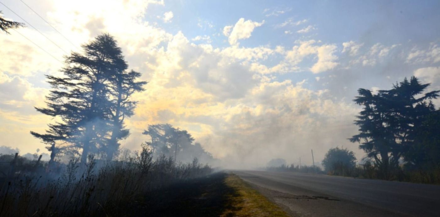 1641933087009.jpeg?x=10&y=140&width=1480&height=741&rotate=0&scaleX=1&scaleY=1&ow=1500&oh=1001&&cw=1920&ch=950