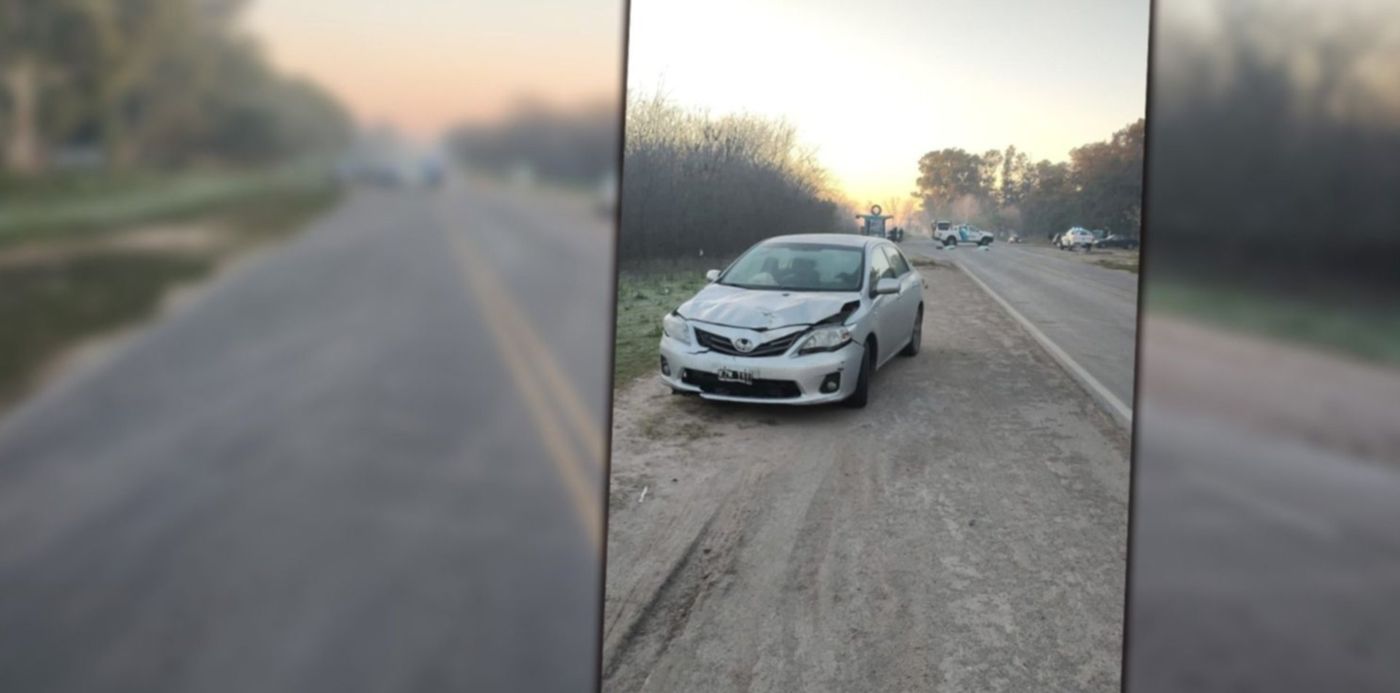 1686757241737.jpg?x=8&y=0&width=1484&height=742&rotate=0&scaleX=1&scaleY=1&ow=1500&oh=742&&cw=1920&ch=950