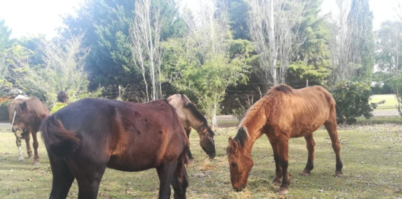 1559220952104.jpg?&cw=1920&ch=950