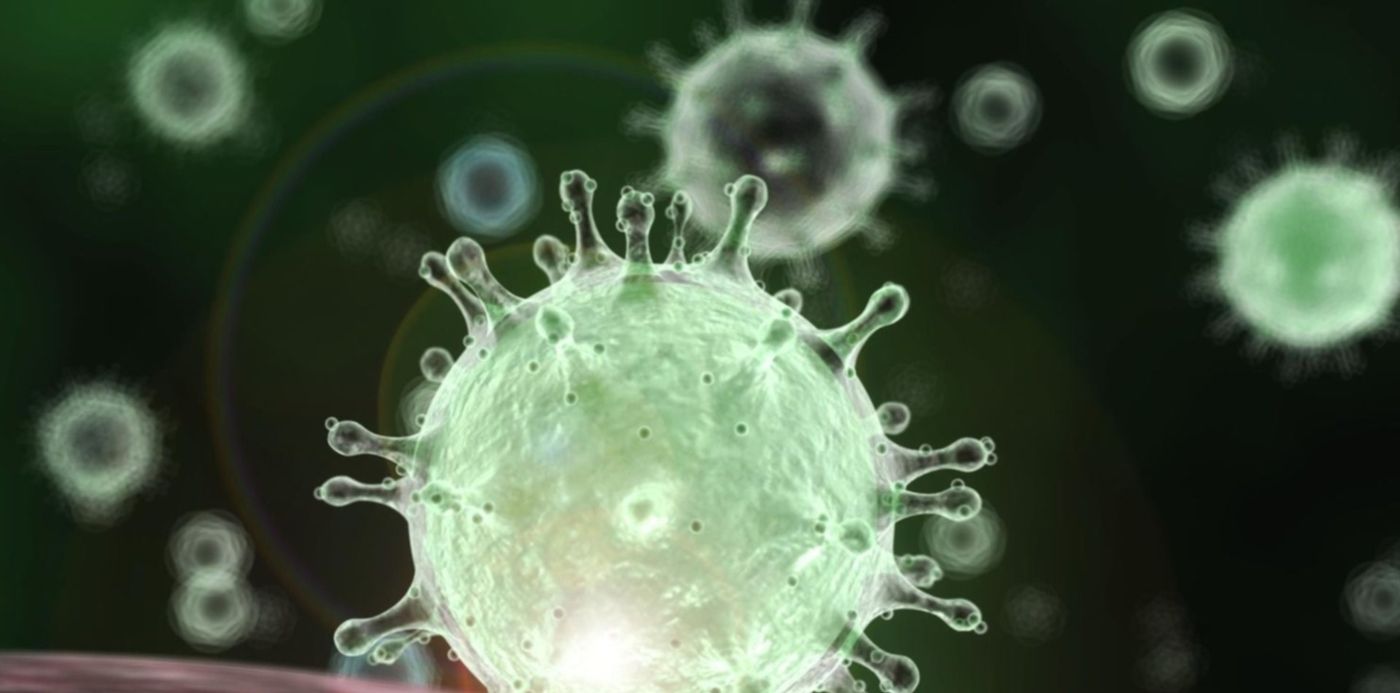 1580068415436.jpg?x=8&width=1485&rotate=0&ow=1500&y=8&height=743&scaleX=1&scaleY=1&oh=1125&&cw=1920&ch=950