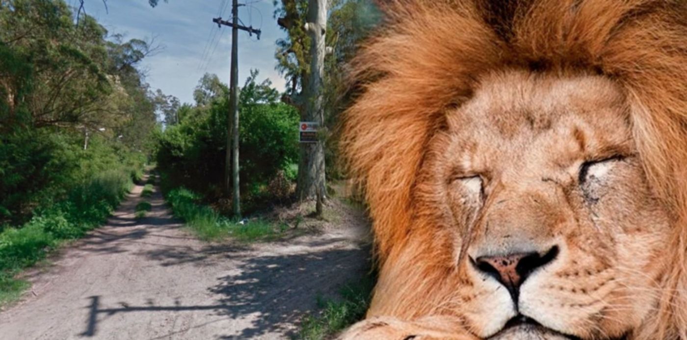 1524002616514.jpg?&cw=1920&ch=950