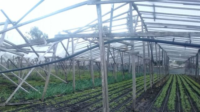 presentan un proyecto para proteger a los productores afectados por la tormenta