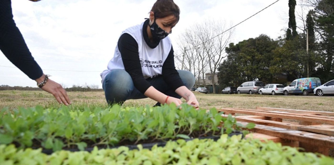 1592495212759.jpg?x=7&y=150&width=1487&height=743&rotate=0&scaleX=1&scaleY=1&ow=1500&oh=1000&&cw=1920&ch=950