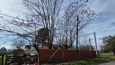 Denuncian que siguen las obras en un casona de La Plata que debía convertirse en una plaza y fue usurpada