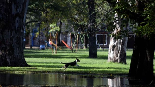 clima en la plata: martes de sol y calor antes de la lluvia