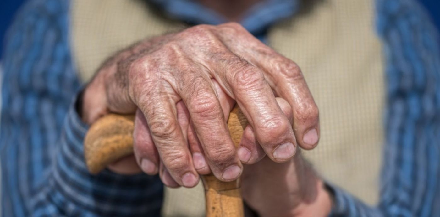 1644839235973.jpeg?x=6&y=86&width=1488&height=744&rotate=0&scaleX=1&scaleY=1&ow=1500&oh=1025&&cw=1920&ch=950