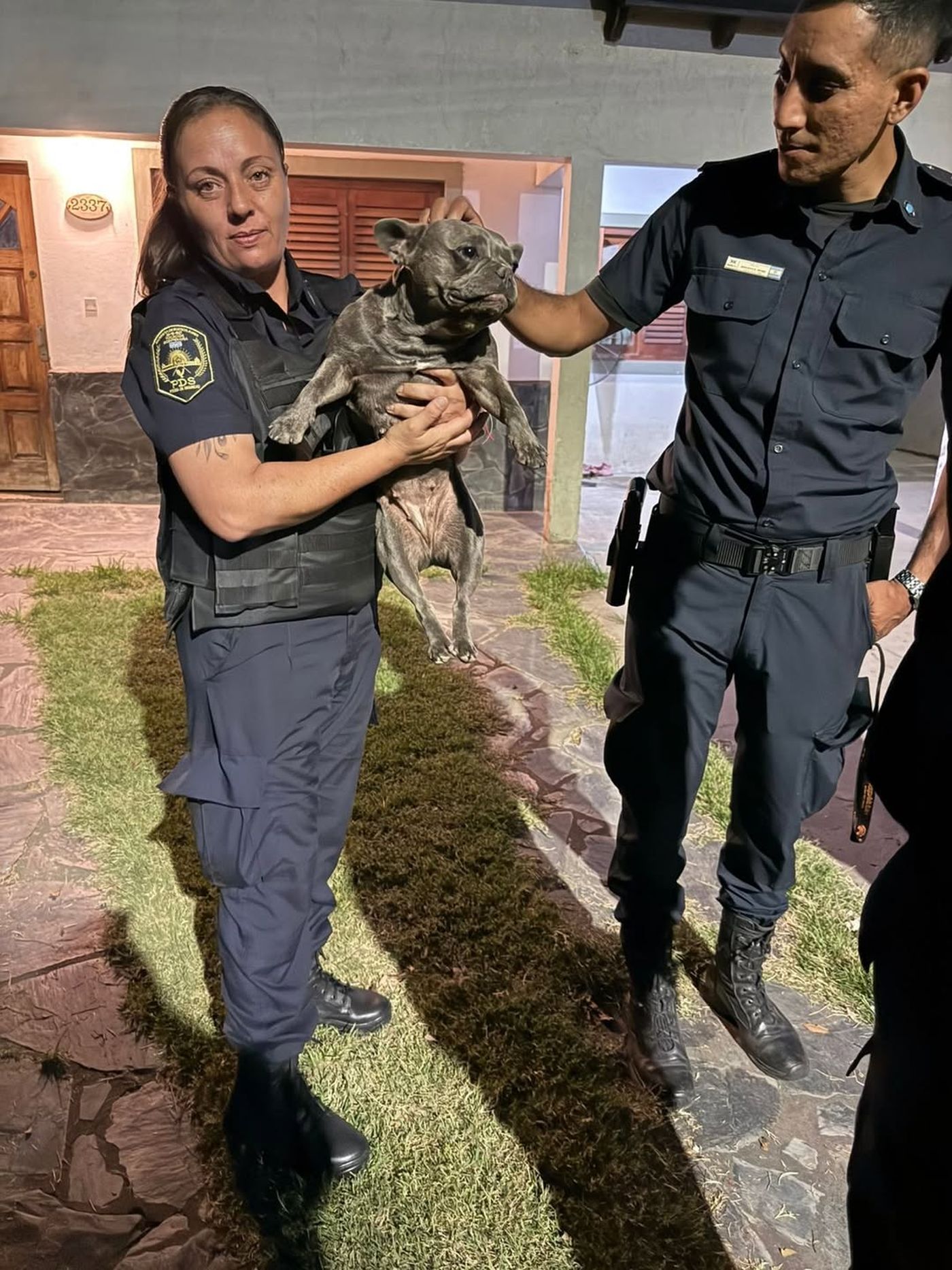 Agentes de la Policía Bonaerense rescataron al perro que había sido robado en Los Hornos