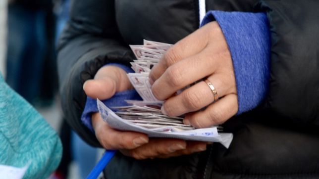 ya preparan jornadas para cambiar figuritas del mundial en la plata: ¿donde y cuando?