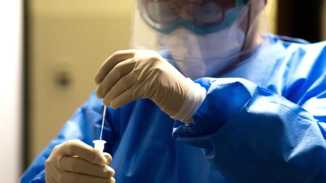 en el instituto malbran desmienten estar estudiando una variante local del coronavirus