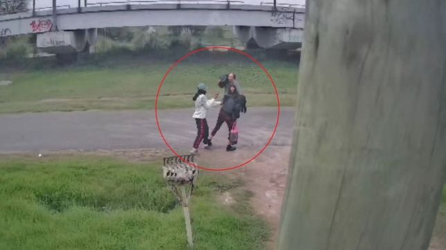 video: a plena luz del dia, un ladron ataco a culatazos a una chica para robarle