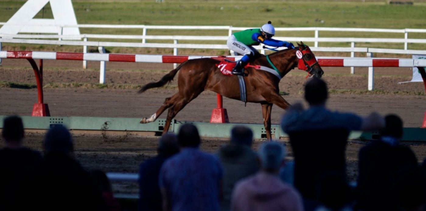 1601512185715.jpg?x=2&y=268&width=1496&height=748&rotate=0&scaleX=1&scaleY=1&ow=1500&oh=1107&&cw=1920&ch=950