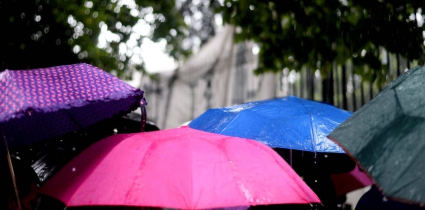 1612189533429.jpeg?x=6&y=205&width=1220&height=610&rotate=0&scaleX=1&scaleY=1&ow=1232&oh=820&&cw=1920&ch=950