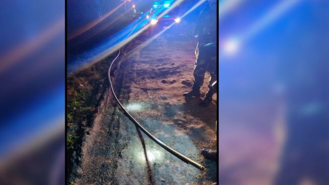 los detuvieron por robar 80 metros de cable y dejar a un barrio de la plata sin internet