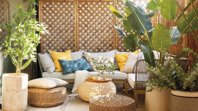 el nuevo rumbo de la tienda de decoracion de la plata que cierra un ciclo de 7 anos de ventas online