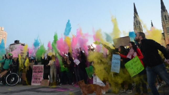 reciclaje, contaminacion y conciencia: asi se vivio el friday for future en la plata