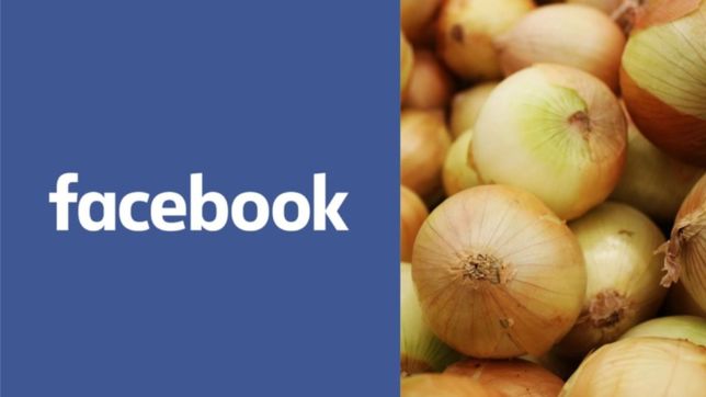 facebook confundio cebollas con un cuerpo desnudo y elimino una publicacion
