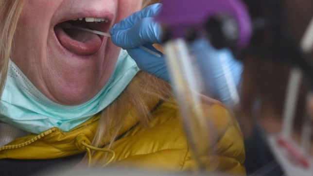 el gobierno confirmo que durante las fiestas no habra reportes del avance de la pandemia