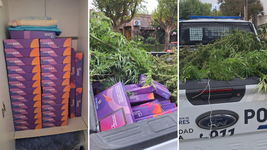 marihuana y tablets de educacion: el increible hallazgo en la plata tras una pelea de pareja marihuana y tablets de educacion: el increible hallazgo en la plata tras una pelea de pareja