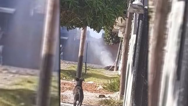 video: alarma en un barrio de la plata porque se rompio un cano y hay una perdida de gas