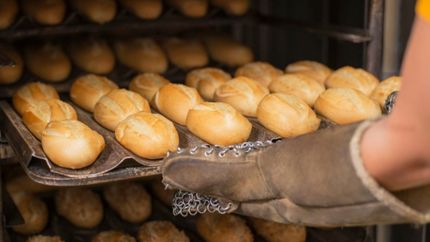 Asaltaron a una familia de panaderos en La Plata y se salvaron de milagro