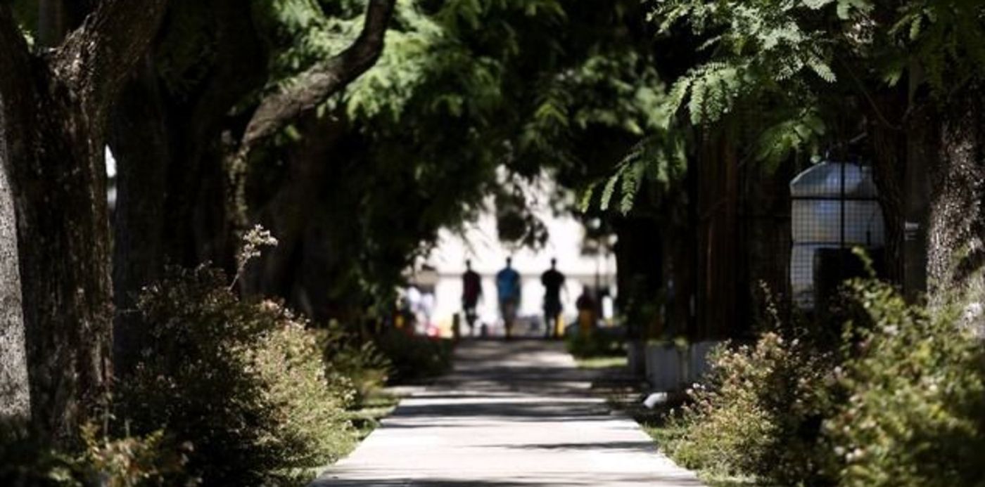 1549563030189.jpg?width=632&scaleX=1&oh=427&x=7&height=316&rotate=0&scaleY=1&ow=640&y=77&&cw=1920&ch=950