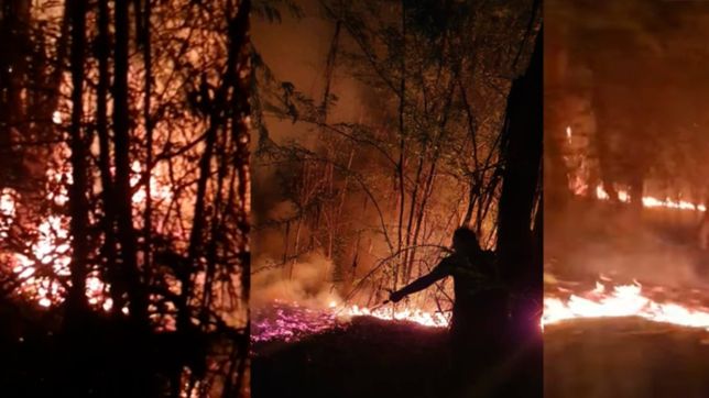 alarma y susto por un voraz incendio que se desato adentro del parque pereyra
