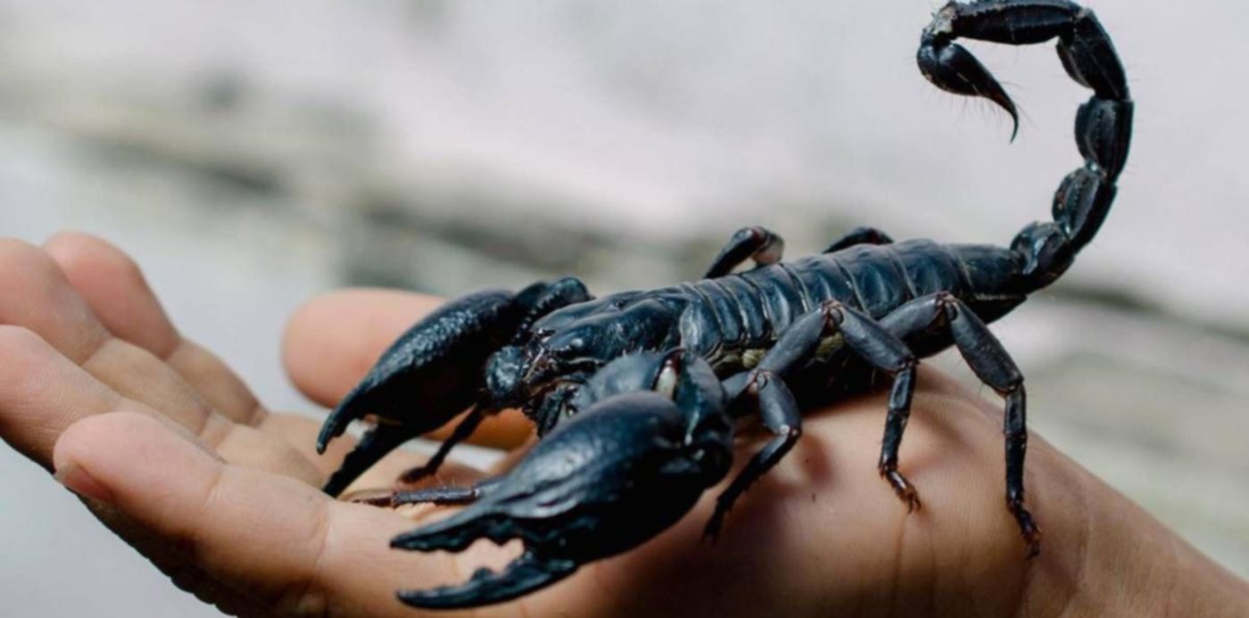 1537532677004.jpg?&cw=1920&ch=950