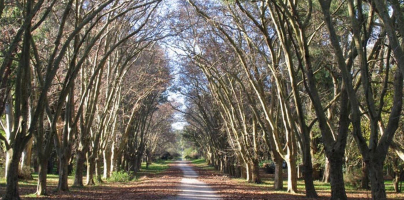 Parque Pereyra Iraola