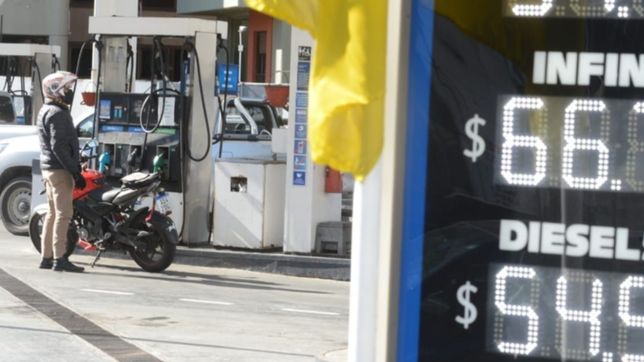 asi quedaron los precios de la nafta en las ypf de la plata