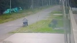 vecinos de un barrio de la plata desesperados porque les roban todos los dias vecinos de un barrio de la plata desesperados porque les roban todos los dias