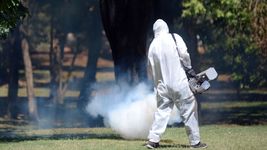 invasion de mosquitos en la plata: ¿en que barrios fumigaran este lunes? invasion de mosquitos en la plata: ¿en que barrios fumigaran este lunes?