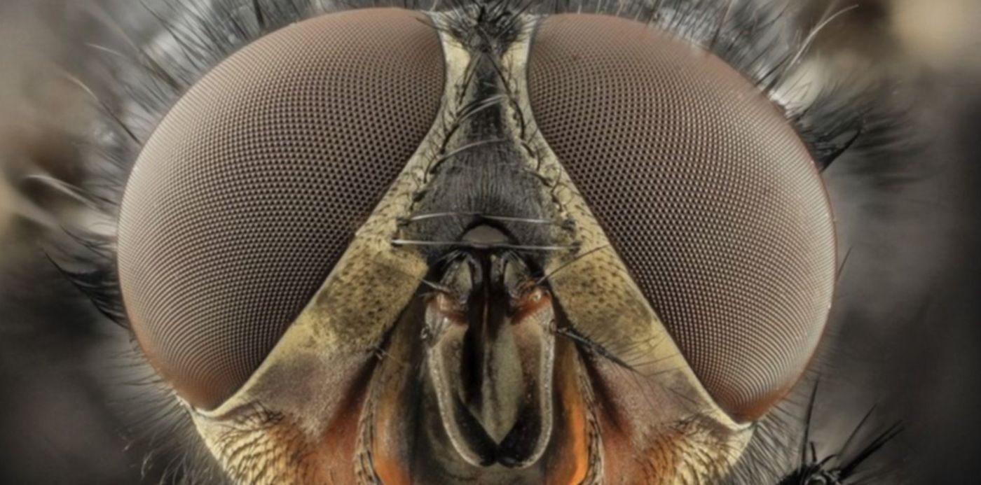 1566413100779.jpg?oh=720&height=459&rotate=0&width=918&scaleX=1&scaleY=1&ow=920&x=1&y=39&&cw=1920&ch=950