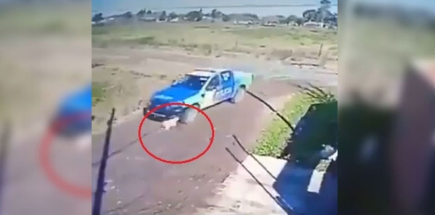 1626698443455.jpg?x=61&y=18&width=1245&height=622&rotate=0&scaleX=1&scaleY=1&ow=1350&oh=650&&cw=1920&ch=950