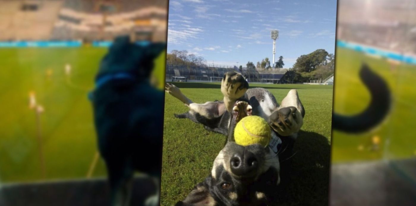 1686829987548.jpg?x=8&y=0&width=1484&height=742&rotate=0&scaleX=1&scaleY=1&ow=1500&oh=742&&cw=1920&ch=950