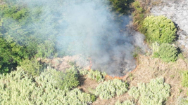 un incendio forestal vuelve a encender las alarmas en una zona cercana a una reconocida fabrica de la plata un incendio forestal vuelve a encender las alarmas en una zona cercana a una reconocida fabrica de la plata