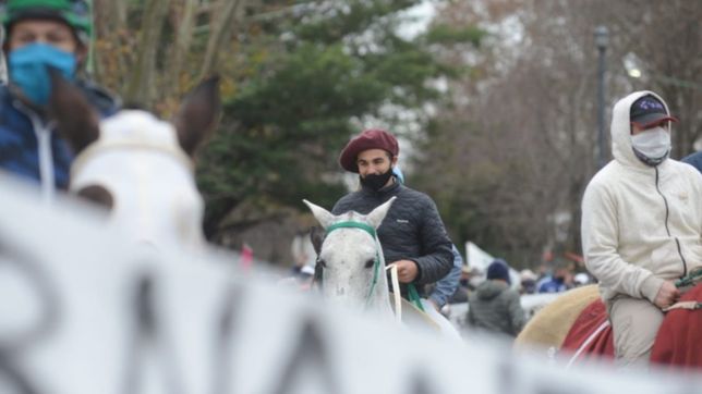con barbijos y a caballo, el turf marcho en la plata y pidio volver a la actividad