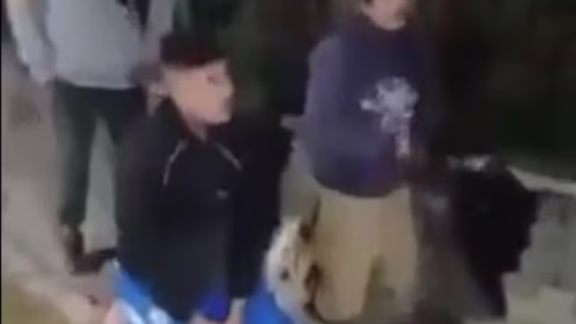 vecinos atraparon a dos ladrones y los obligaron a cantar el arroz con leche