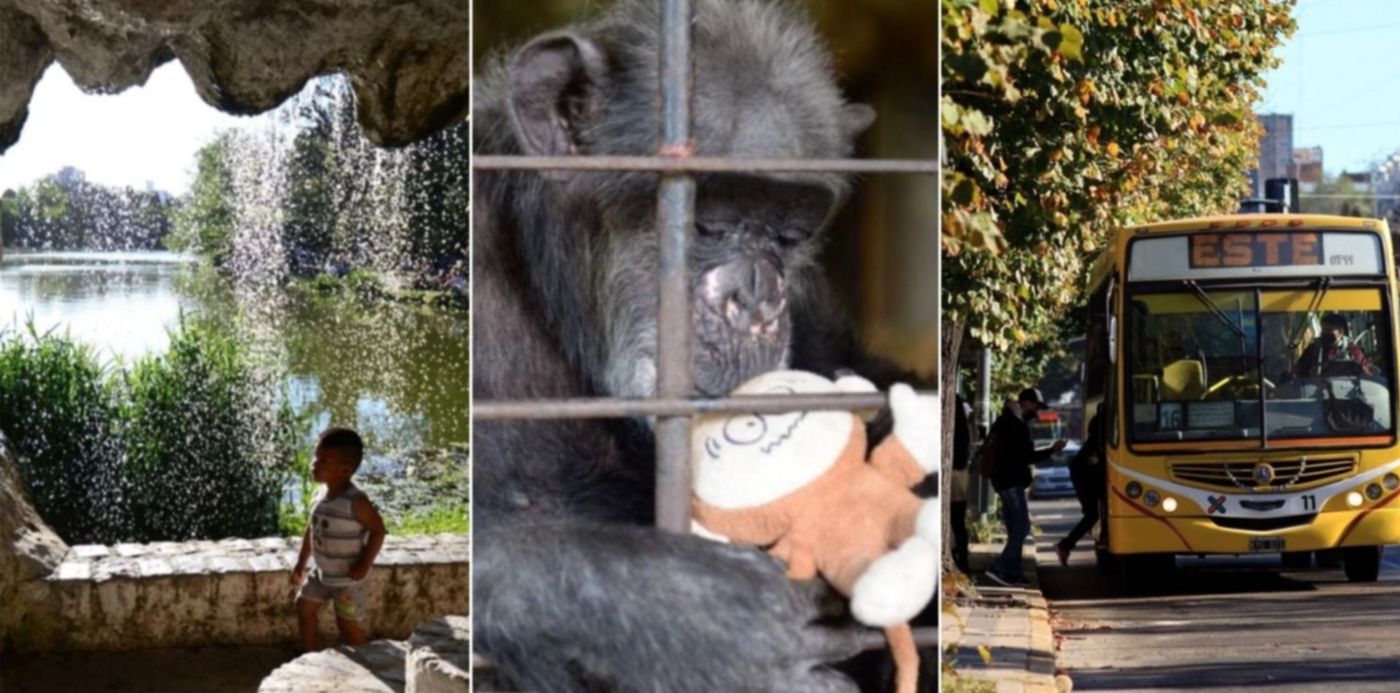 1646319004541.jpg?x=1&y=10&width=1490&height=745&rotate=0&scaleX=1&scaleY=1&ow=1500&oh=763&&cw=1920&ch=950