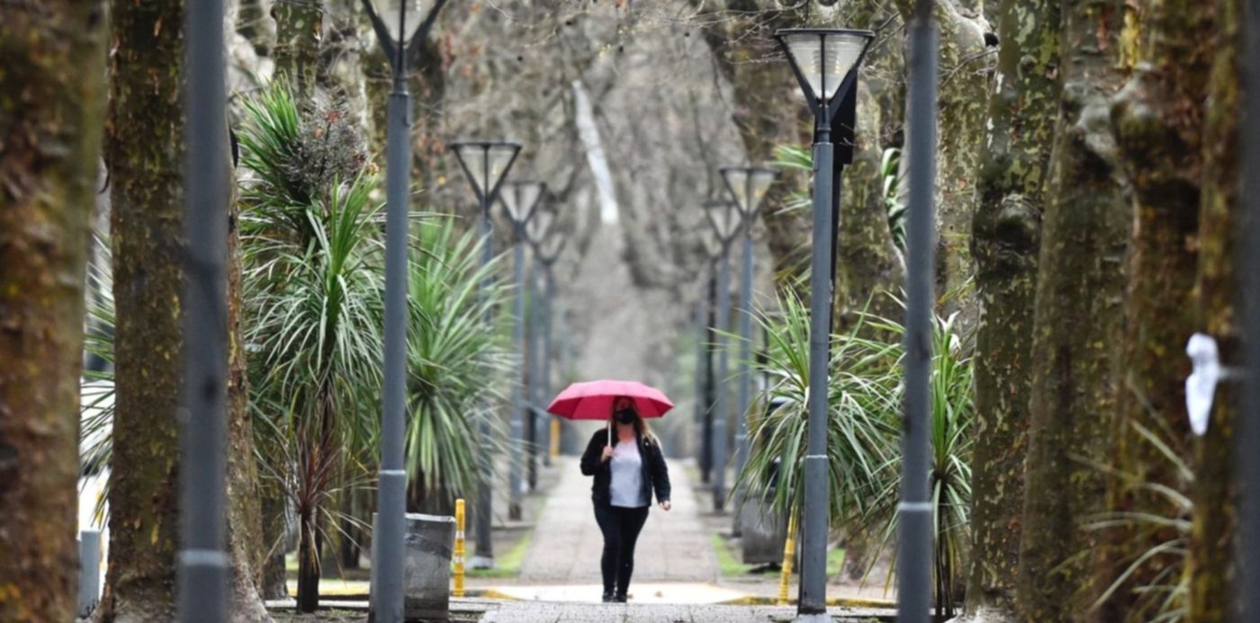 1632765987214.jpg?x=17&y=293&width=1473&height=736&rotate=0&scaleX=1&scaleY=1&ow=1500&oh=1047&&cw=1920&ch=950