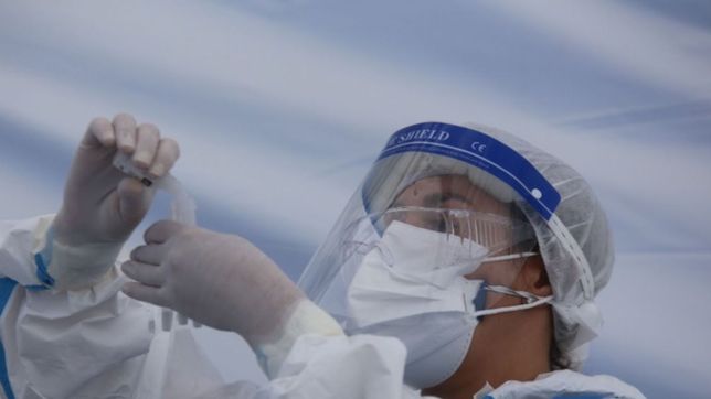 coronavirus en la plata: confirman 263 casos y ocho muertes en las ultimas 24 horas
