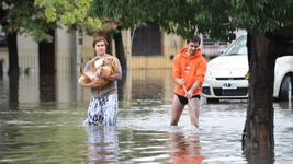 el documental desamparados bajo el agua llega a flow y se podra ver gratis el documental desamparados bajo el agua llega a flow y se podra ver gratis
