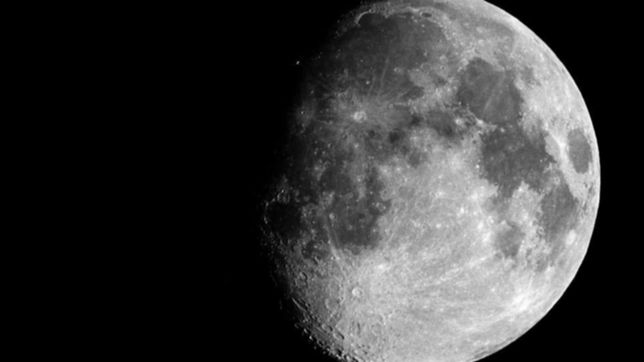 ¿queres ir a la luna? un multimillonario japones invita a 8 personas de todo el mundo