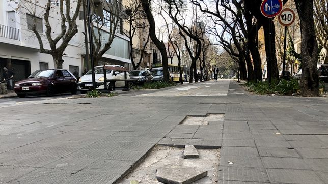 lanzan un ambicioso plan para mejorar las veredas en el centro y los barrios de la plata