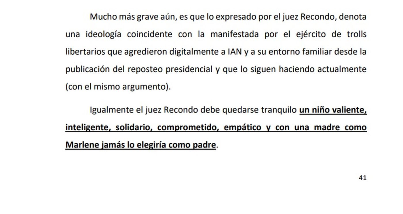 Extracto de la apelaci&oacute;n presentada por el abogado constitucionalista Andr&eacute;s Gil Dom&iacute;nguez, quien representa a la madre del menor