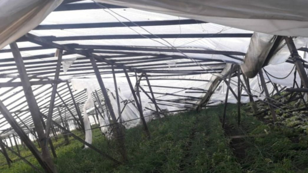 La Comuna intenta regular la instalación de invernáculos en el cordón hortícola de La Plata